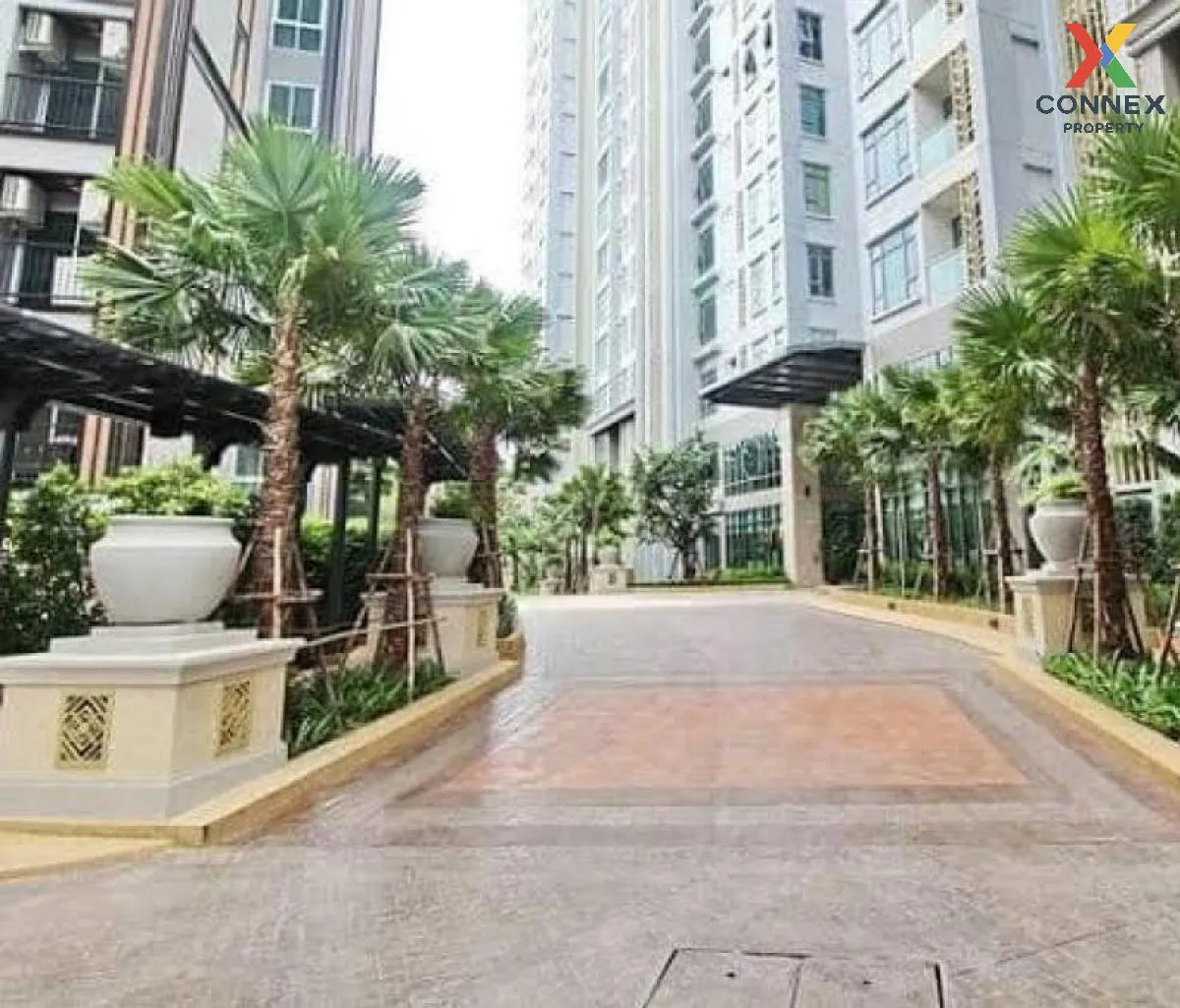 FOR SALE condo , Mayfair Place Sukhumvit 50 , BTS-On Nut , Phra Khanong , Khlong Toei , Bangkok , CX-14178