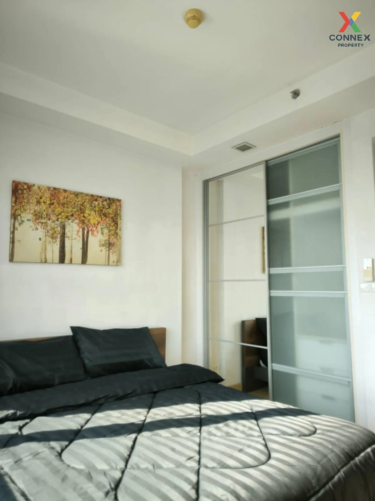 FOR RENT condo , Thru Thonglor , BTS-Thong Lo , Bang Kapi , Huai Khwang , Bangkok , CX-24041