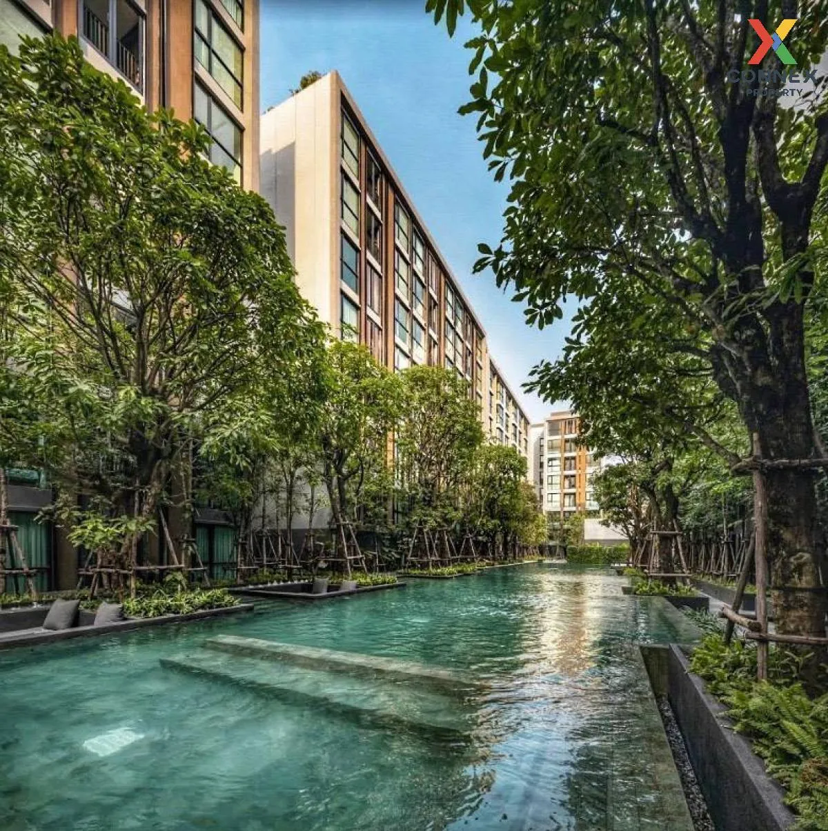 FOR RENT condo , Vtara Sukhumvit 36 , BTS-Thong Lo , Phra Khanong , Khlong Toei , Bangkok , CX-24473