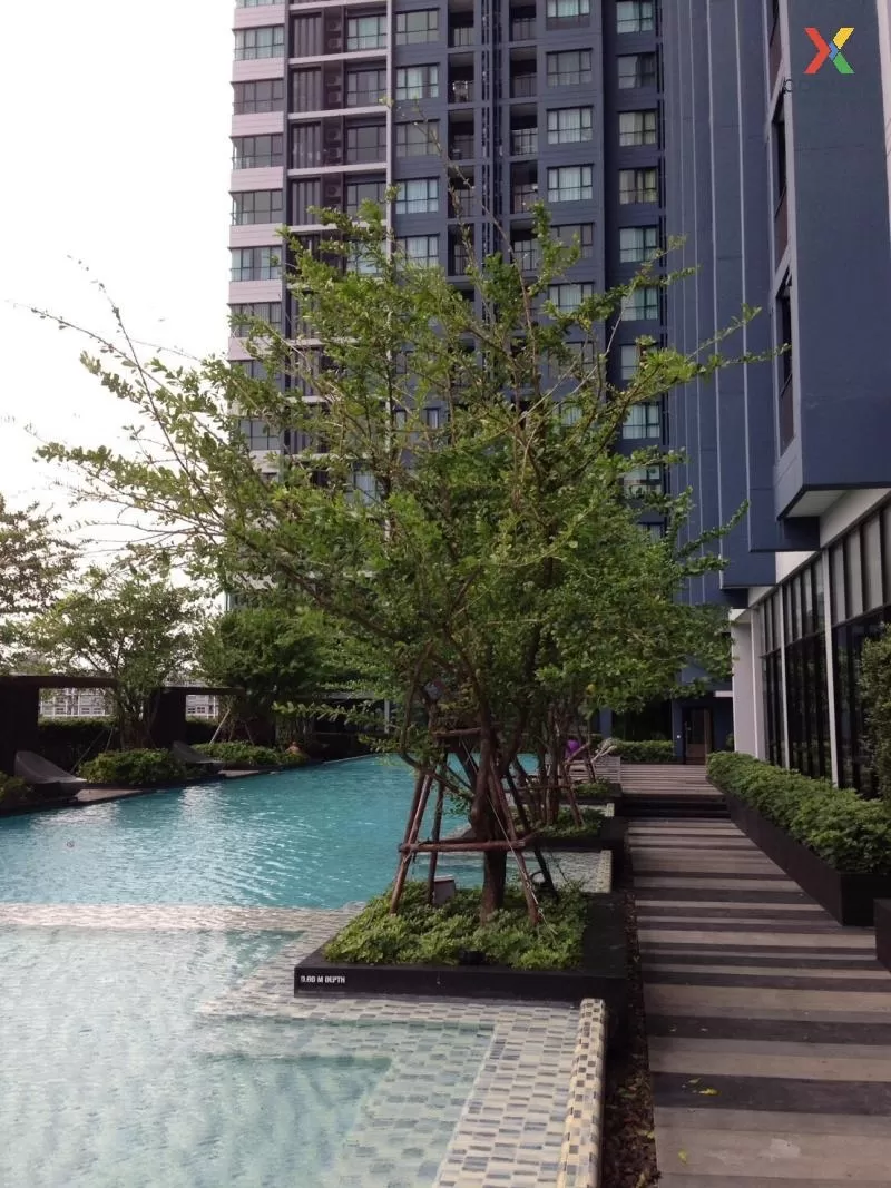 FOR RENT condo , The Base Rama 9 - Ramkhamhaeng , ARL-Ramkhamhaeng , Hua Mak , Bang Kapi , Bangkok , CX-68353