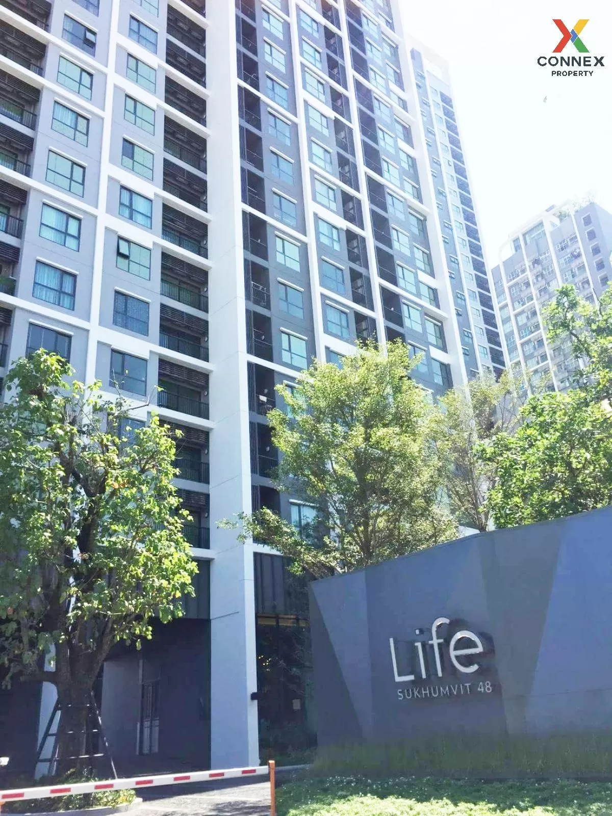 FOR RENT condo , Life Sukhumvit 48 , BTS-Phra Khanong , Phra Khanong , Khlong Toei , Bangkok , CX-80194