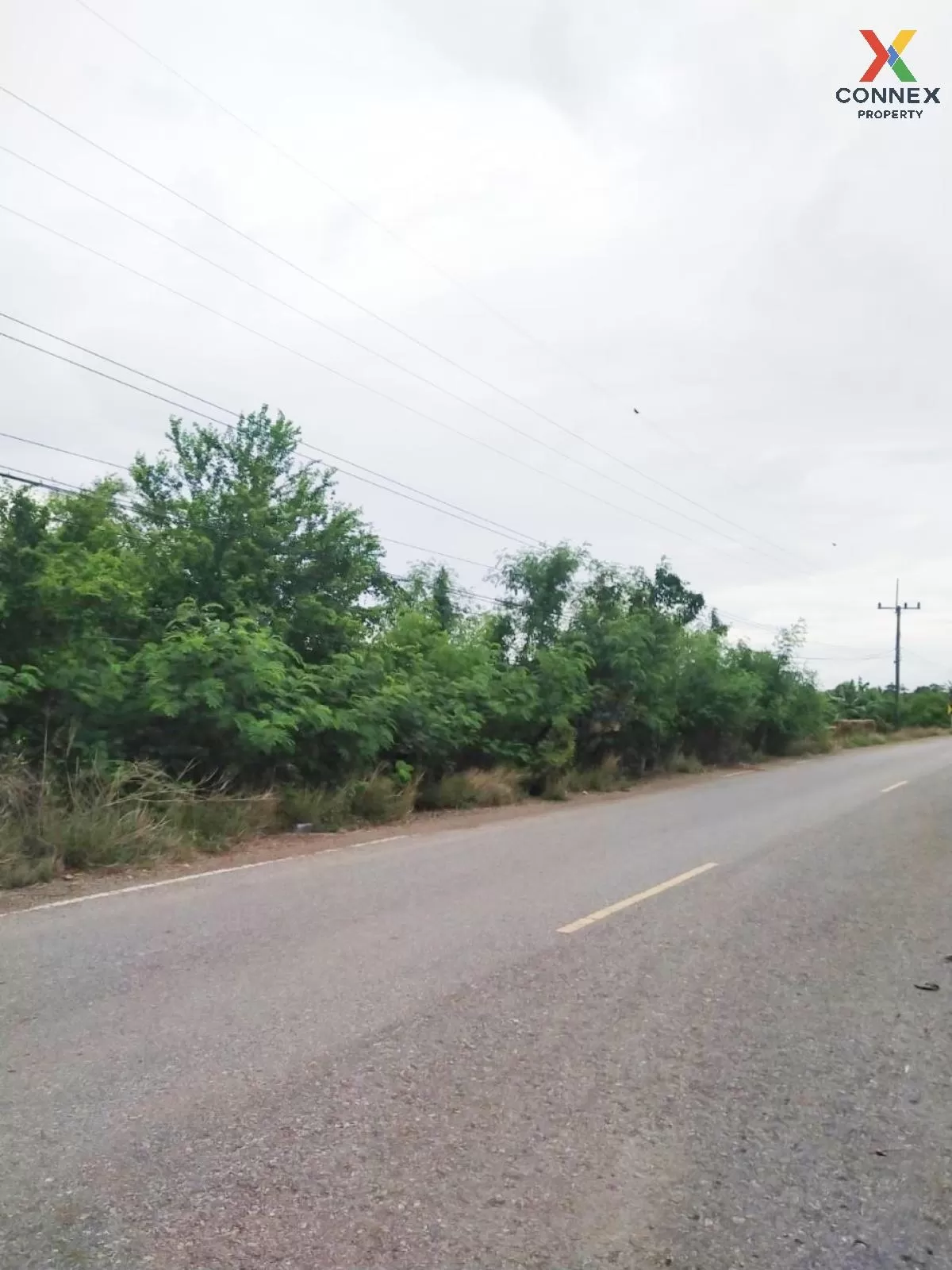 FOR SALE land , Sisa Thong , Ongkharak , Nakhon Nayok , CX-81160 3