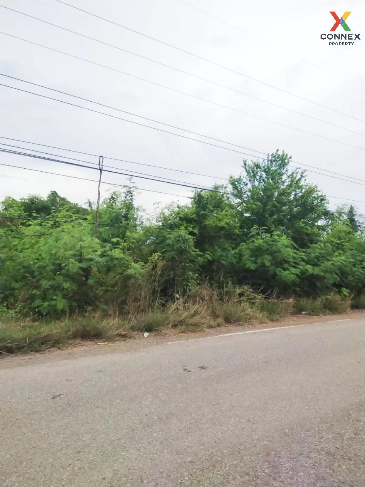 FOR SALE land , Sisa Thong , Ongkharak , Nakhon Nayok , CX-81160 4