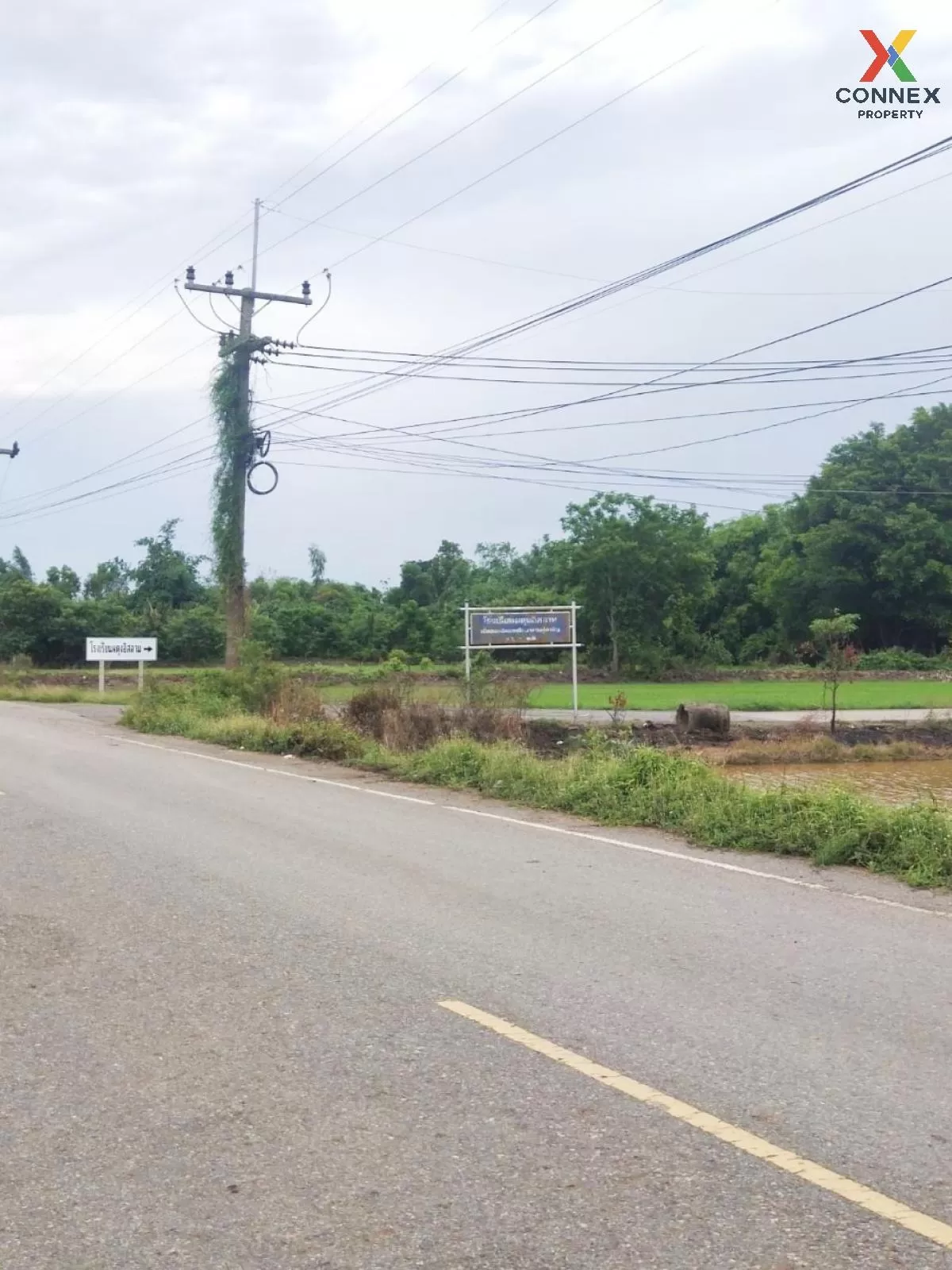 FOR SALE land , Sisa Thong , Ongkharak , Nakhon Nayok , CX-81160