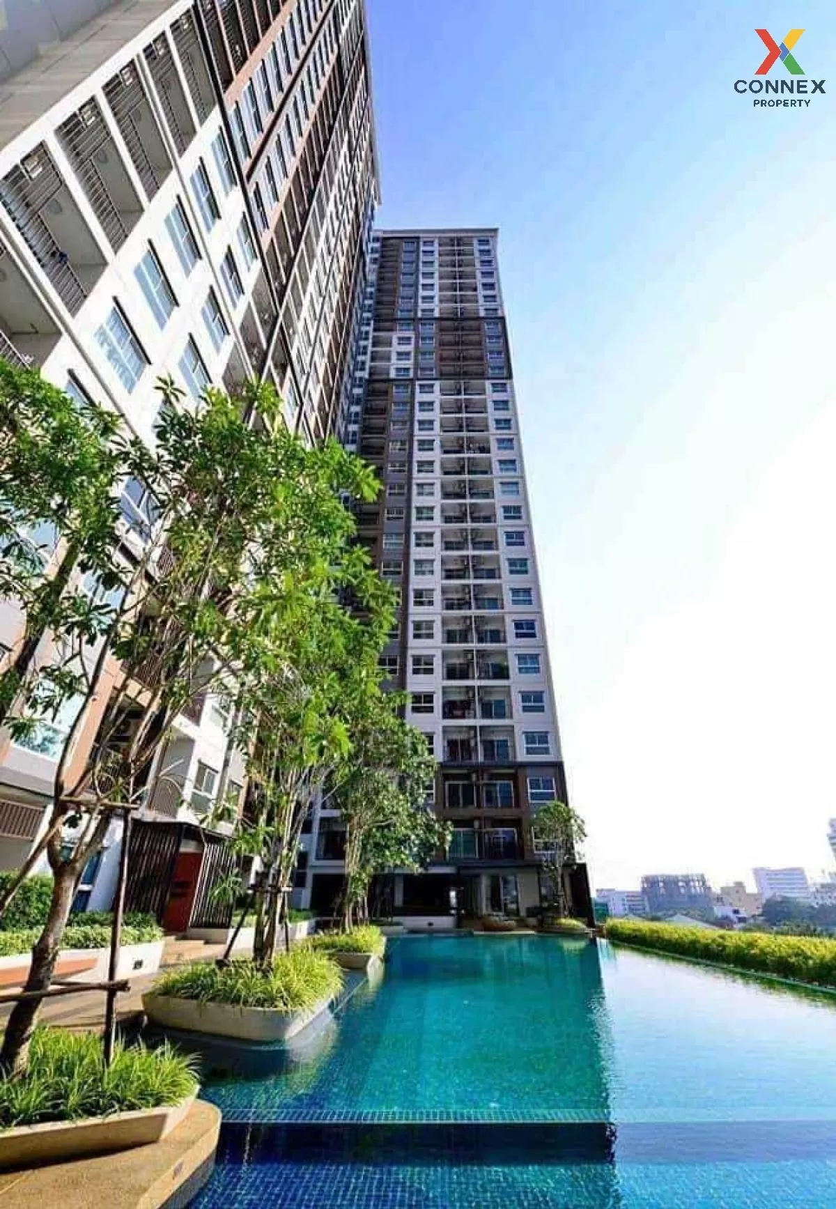 For Rent Condo , The Trust Condo Ngamwongwan , MRT-Nonthaburi Civic Center , Talat Bang Khen , Don Mueang , Nonthaburi , CX-82725