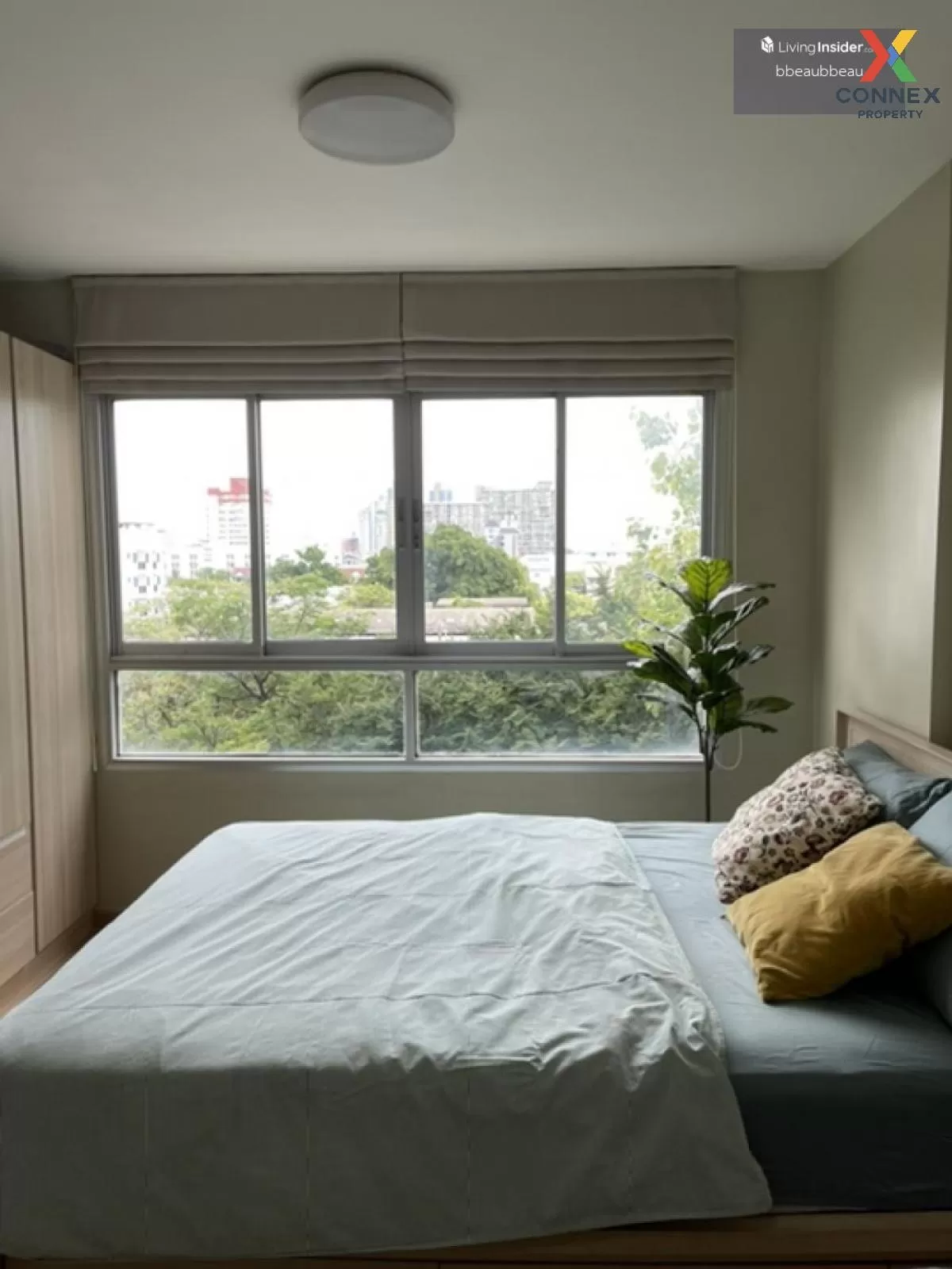 For Rent Condo , Elio Del Ray Sukhumvit 64 , BTS-Punnawithi , Bang Chak , Phra Khanong , Bangkok , CX-84715