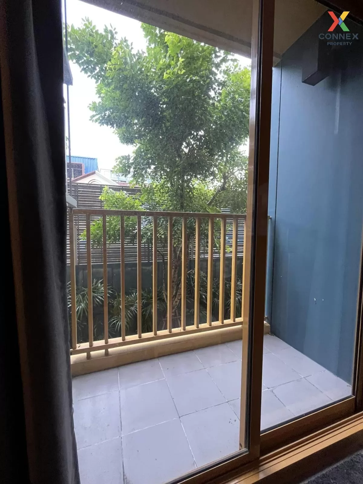 For Rent Condo , The Base Sukhumvit 50 , BTS-On Nut , Phra Khanong Nuea , Khlong Toei , Bangkok , CX-85895