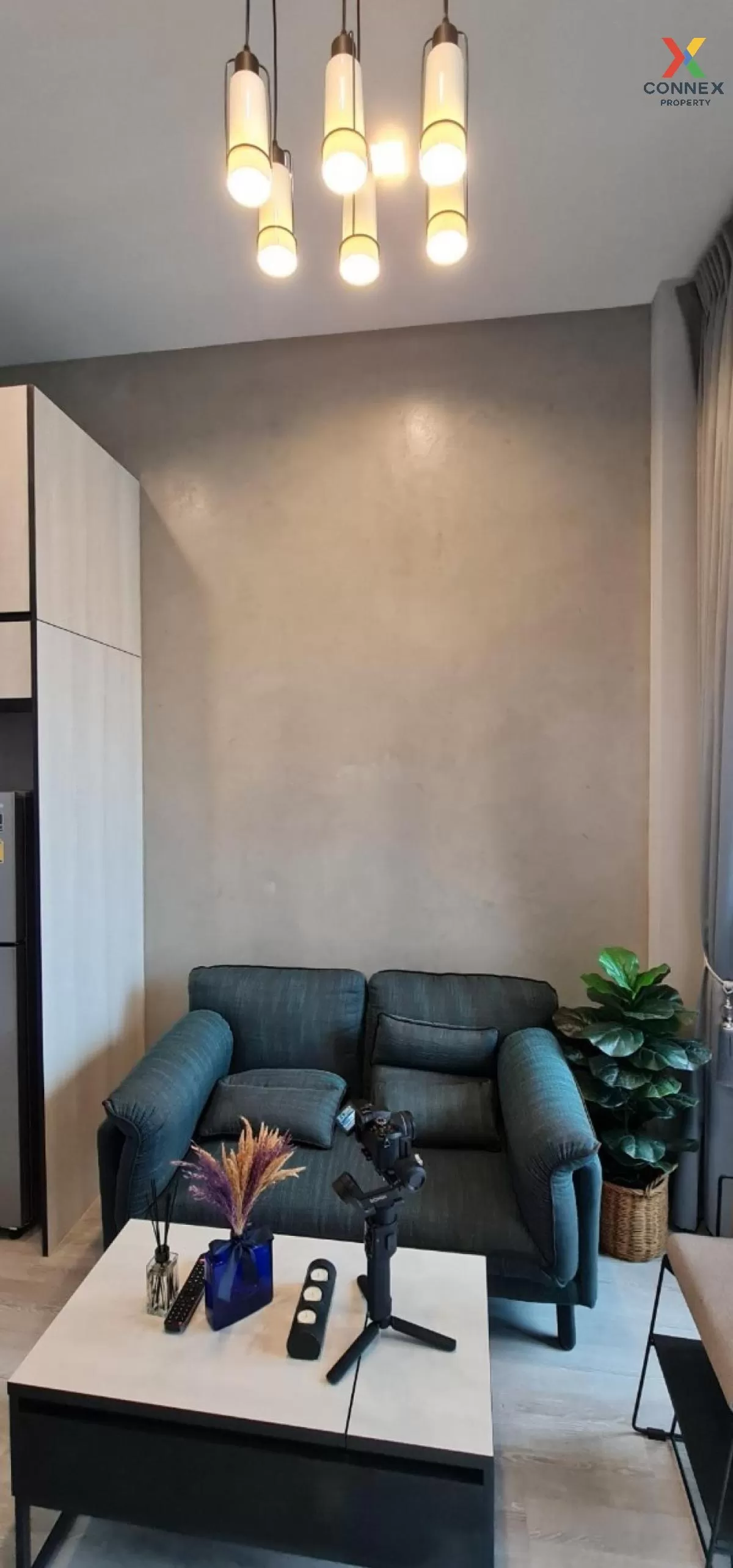 For Rent Condo , The line sukhumvit 101 , BTS-Punnawithi , Bang Chak , Phra Khanong , Bangkok , CX-87263