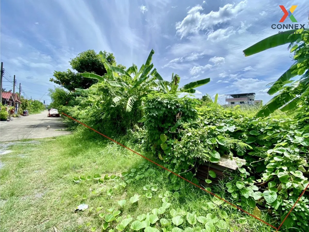 For Sale Land , Than Thong Village 2 , Bang Rak Phatthana , Bang Bua Thong , Nonthaburi , CX-88096 2