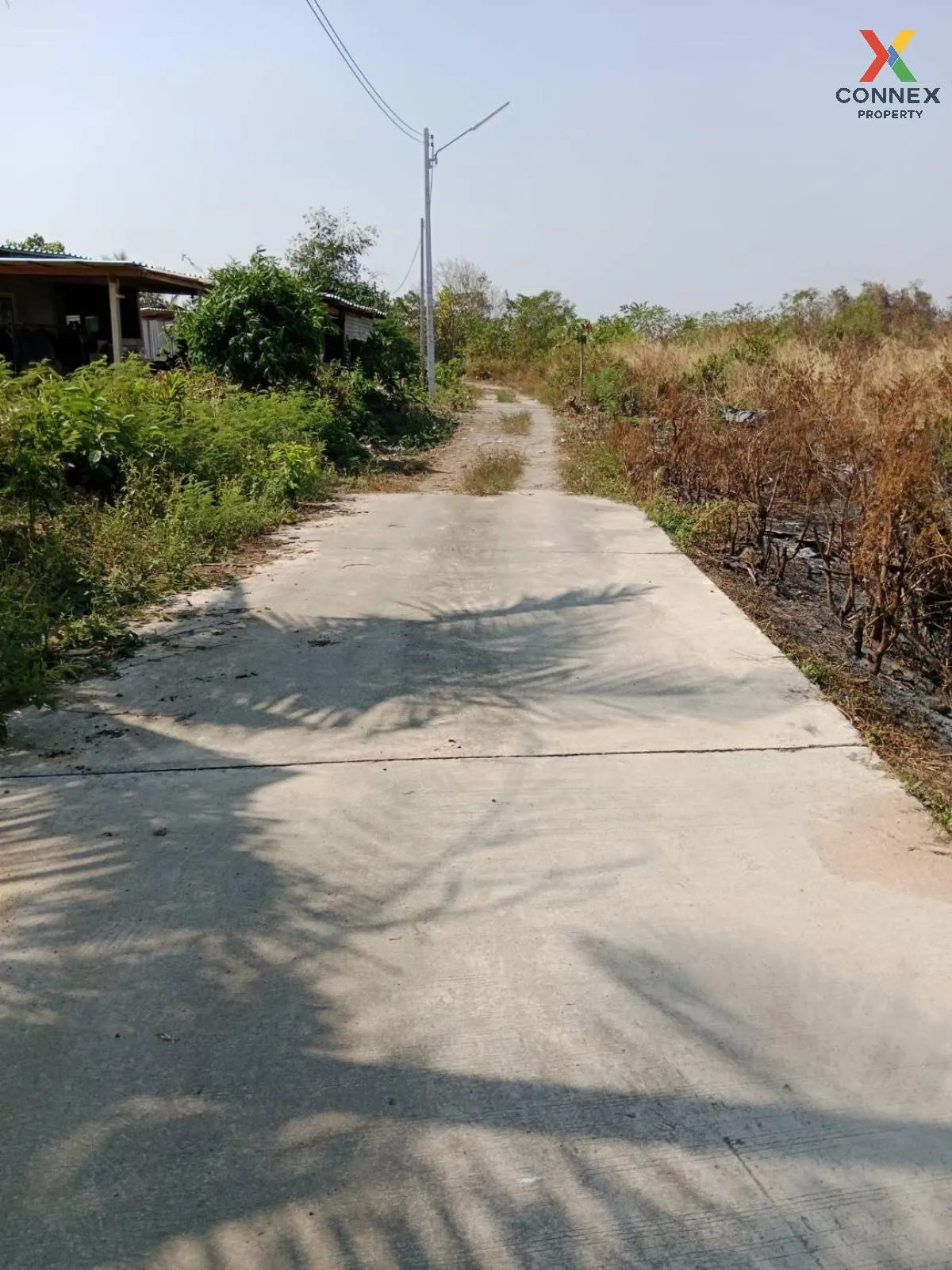 For Sale Land, Sriracha, Chonburi, Soi Sanitthayan , Nong Kham , Si Racha , Chon Buri , CX-91064 2