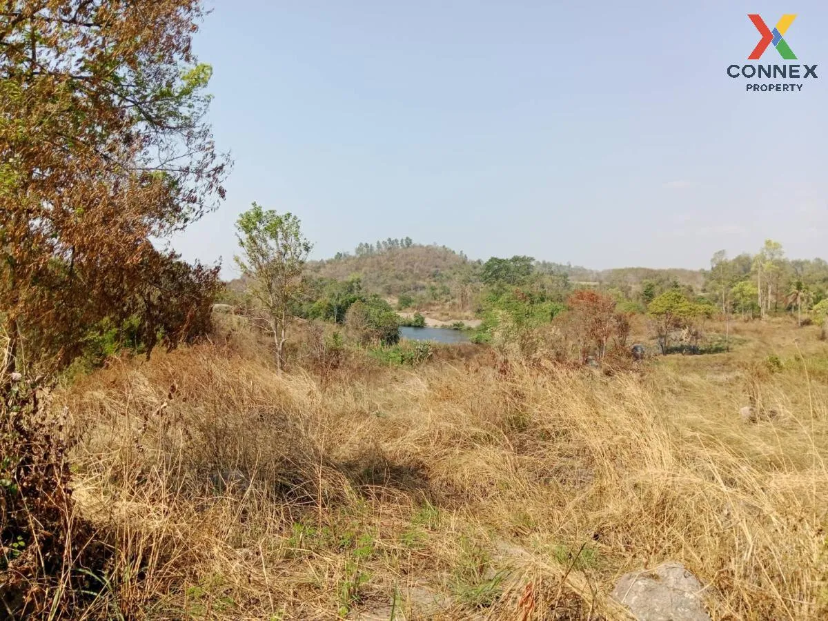 For Sale Land, Sriracha, Chonburi, Soi Sanitthayan , Nong Kham , Si Racha , Chon Buri , CX-91064