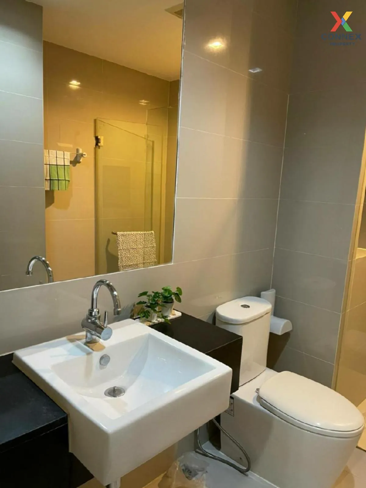 For Rent Condo , Ideo Blucove Sukhumvit , BTS-Udom Suk , Bang Na , Bang Na , Bangkok , CX-91923