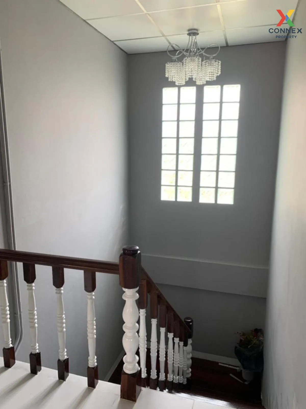 For Sale Single House, 2 storeys, On Nut 70 , Prawet , Prawet , Bangkok , CX-92696 3