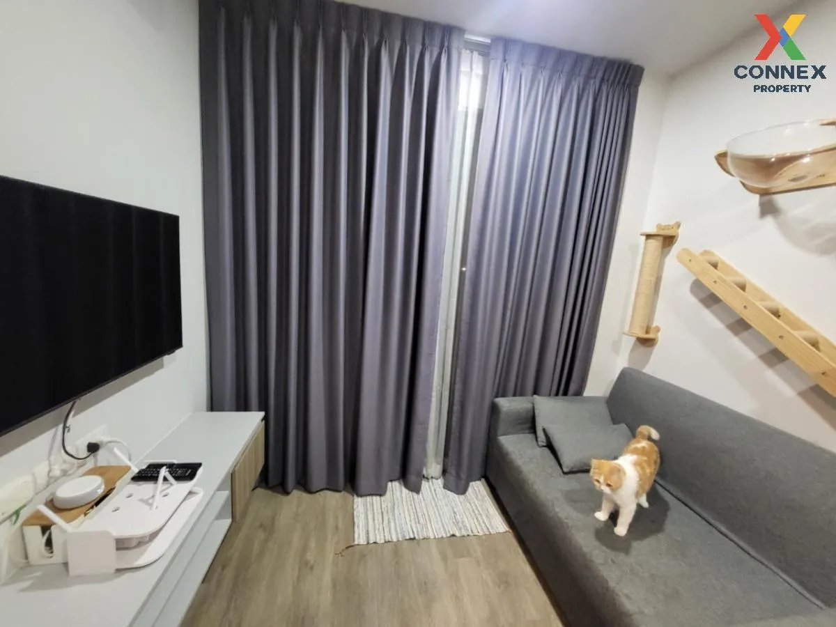 For Rent Condo , BRIXTON Pet&Play Sukhumvit 107 , BTS-Bearing , Samrong Nuea , Mueang Samut Prakan , Samut Prakarn , CX-94935 1