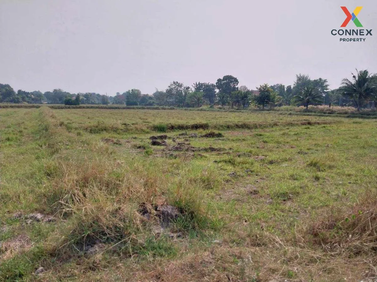 For Sale Land Plaeng Yao, Chachoengsao 2