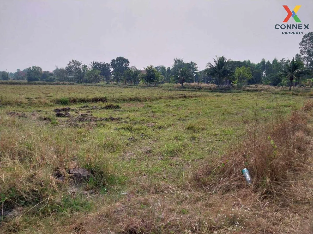 For Sale Land Plaeng Yao, Chachoengsao 3