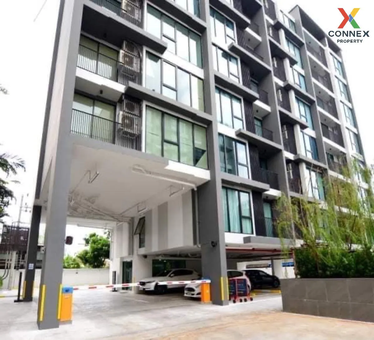 For Rent Condo , Serio Sukhumvit 50 , corner unit , BTS-On Nut , Phra Khanong , Khlong Toei , Bangkok , CX-96795