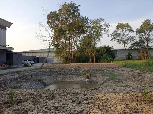 เช่าที่ดินเปล่า  121 ตารางวา ซอย วัดพระเงิน บางม่วง บางใหญ่ นนทบุรี CX-97256
