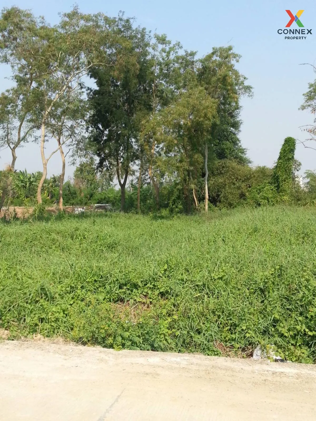 For Sale land 121 square wah, Soi Wat Phra Ngoen. , Bang Muang , Bang Yai , Nonthaburi , CX-97258 2