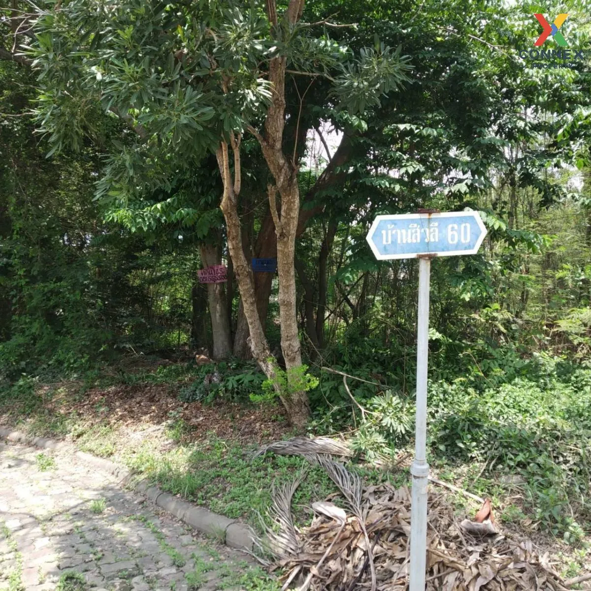 For Rent Land , Sivalee Rangsit 1 , Pracha Thipat , Thanyaburi , Pathum Thani , CX-97260 4