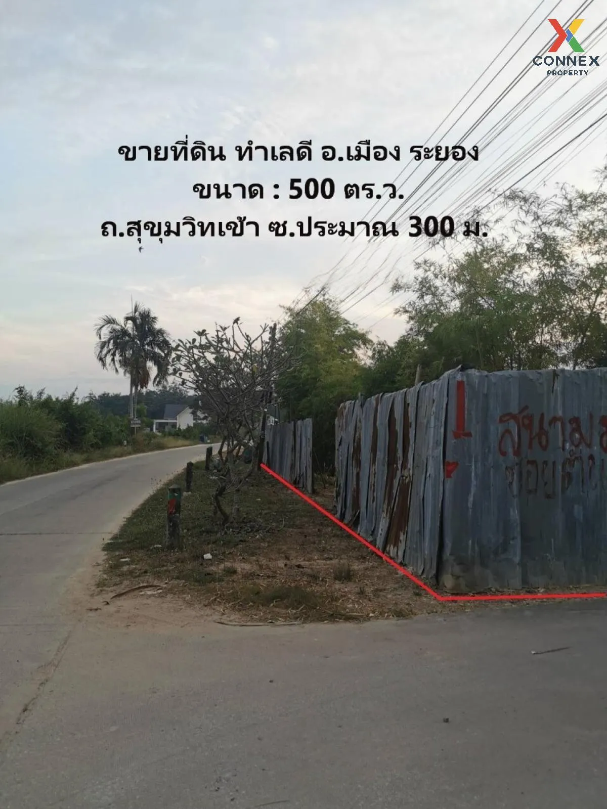 ขายขายที่ดิน 1 ไร่ 1 งาน ทำเลดี อ.เมือง จ.ระยอง ตะพง เมืองระยอง ระยอง CX-99488 4