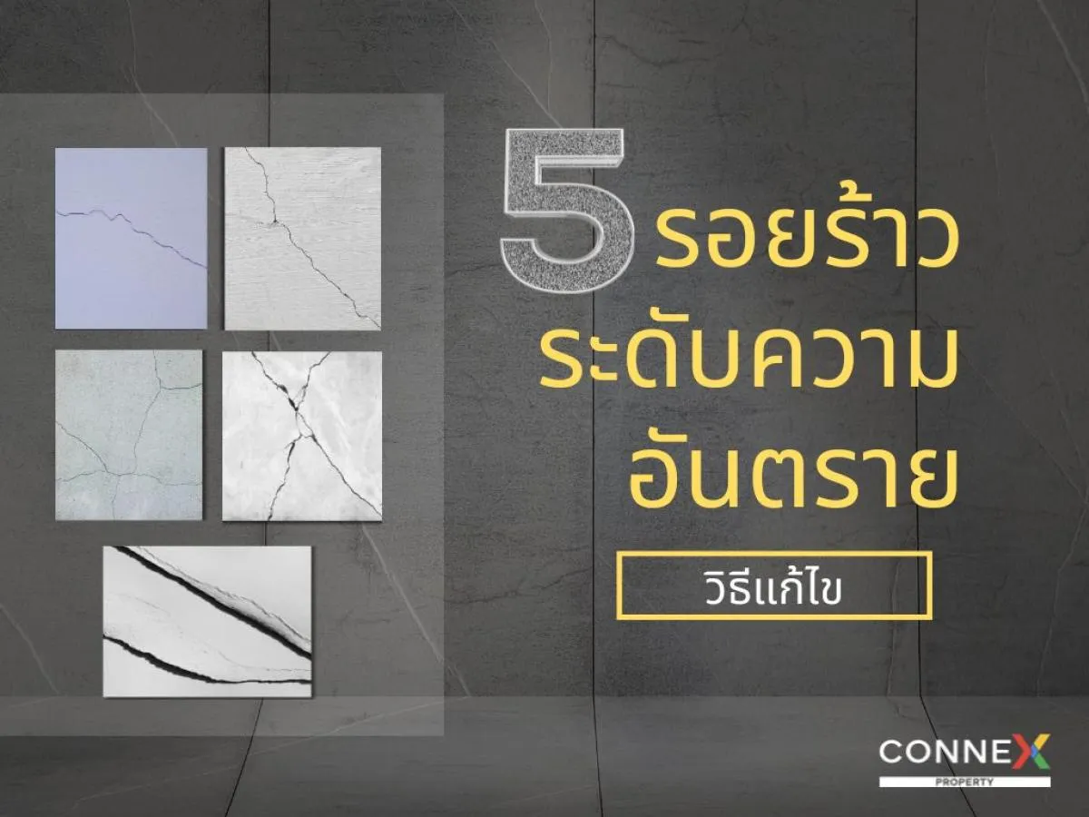รอยร้าวผนัง: ประเภท ระดับความอันตราย และวิธีแก้ไขที่ถูกต้อง