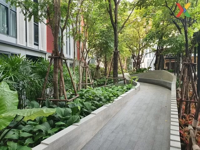 FOR RENT condo , Taka Haus , high floor , BTS-Ekkamai , Khlong Ta