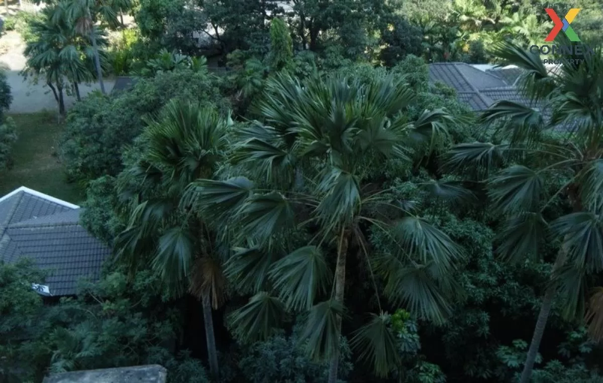 FOR RENT condo , Condo One X Sukhumvit 26 , Duplex , nice view , 