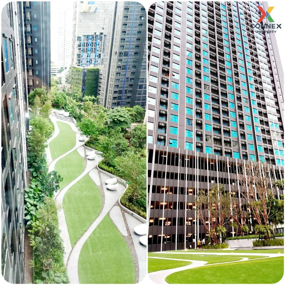 เช่า คอนโด  Life Asoke - Rama 9 MRT-พระราม 9 อโศก-ดินแดง มักกะสัน