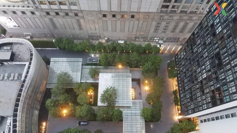 เช่า คอนโด  Noble Ploenchit BTS-เพลินจิต เพลินจิต ลุมพินี ปทุมวัน