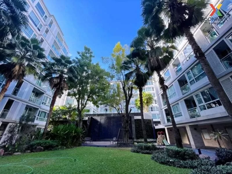 FOR RENT condo , Mayfair Place Sukhumvit 64 , Duplex , nice view  FOR RENT condo , Mayfair Place Sukhumvit 64 , Duplex , nice view