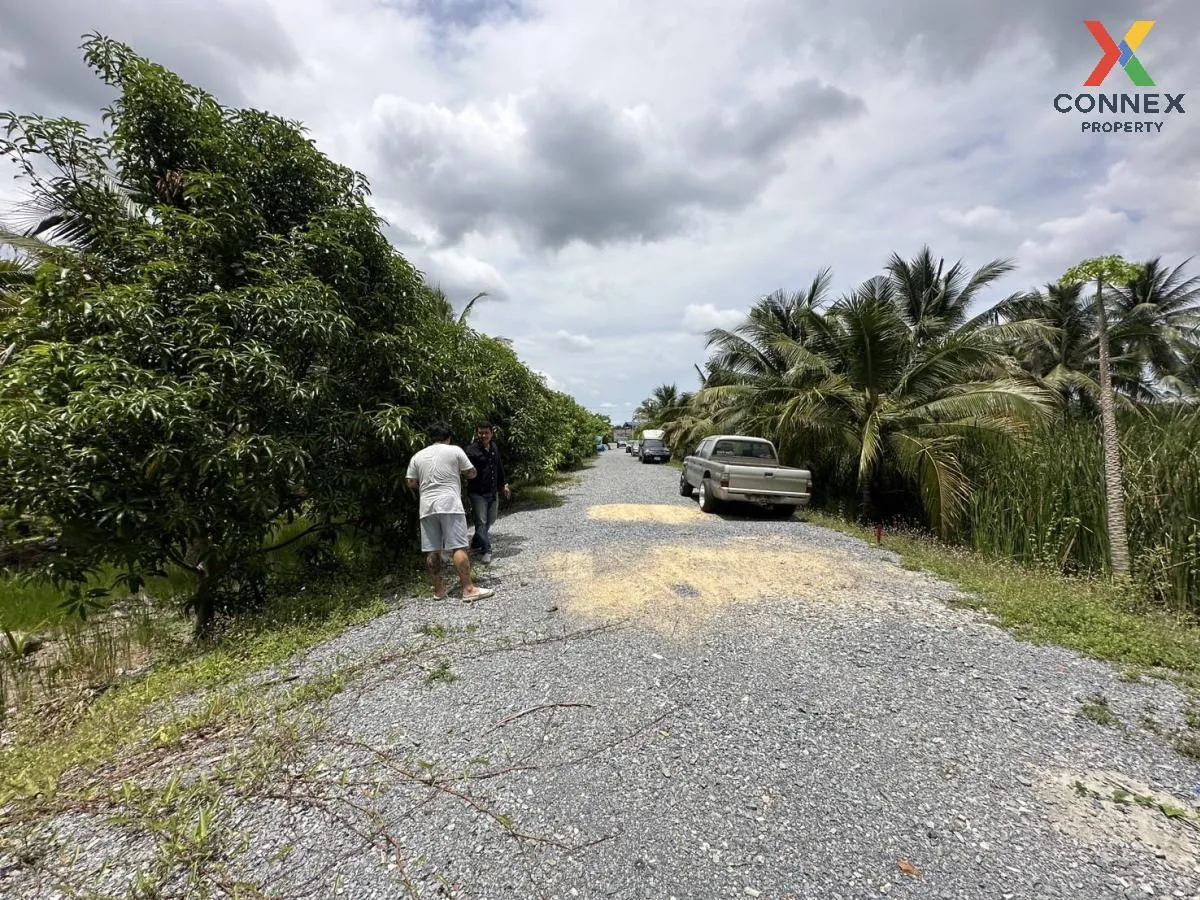 ขายที่ดินเปล่า 283 ตรว. บางแวก พุทธมณฑลสาย 2 บางไผ่ เขต บางแค กรุ