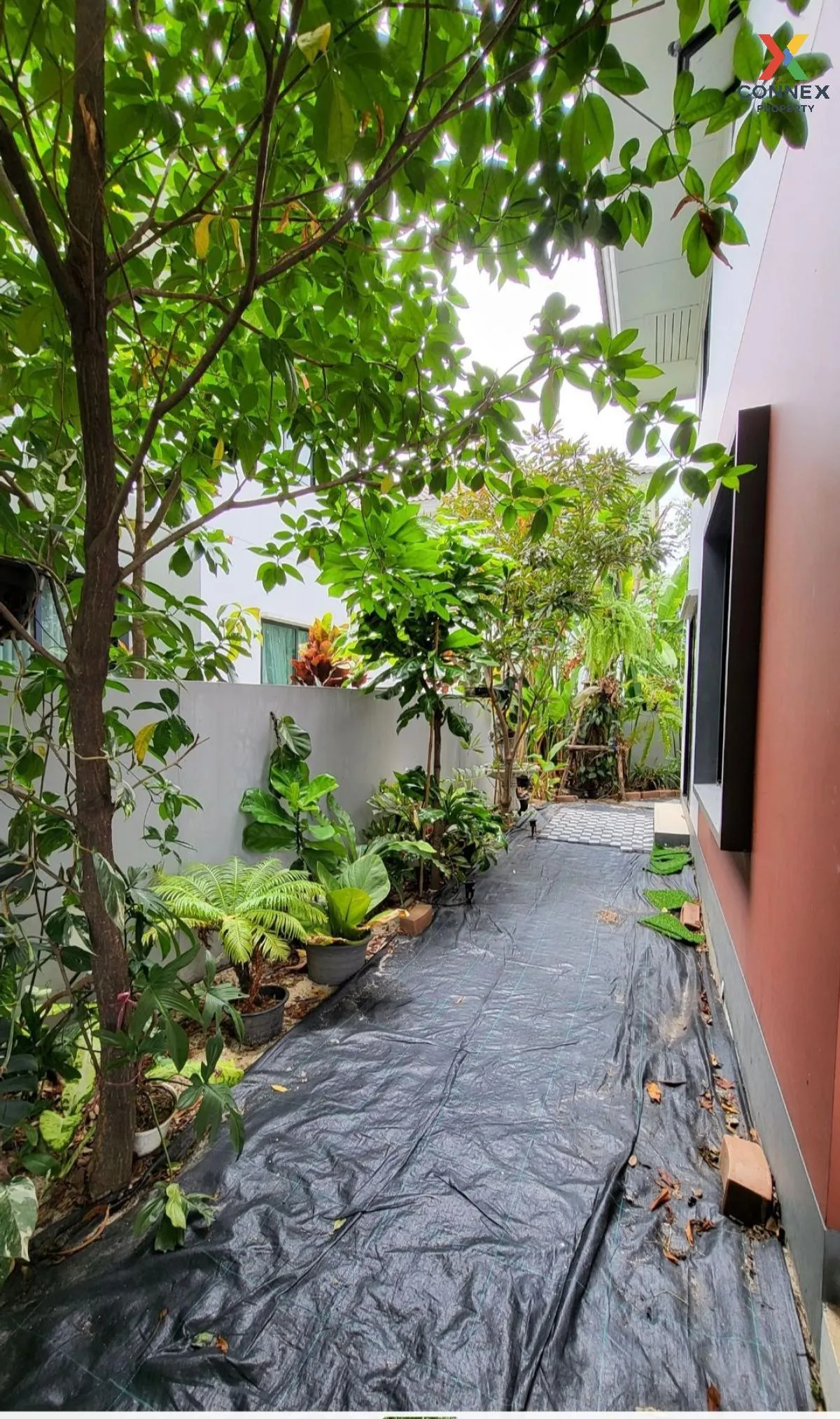 For Sale House , Kanasiri Wongwaen - Lumlukka , Bueng Kham Phoi ,