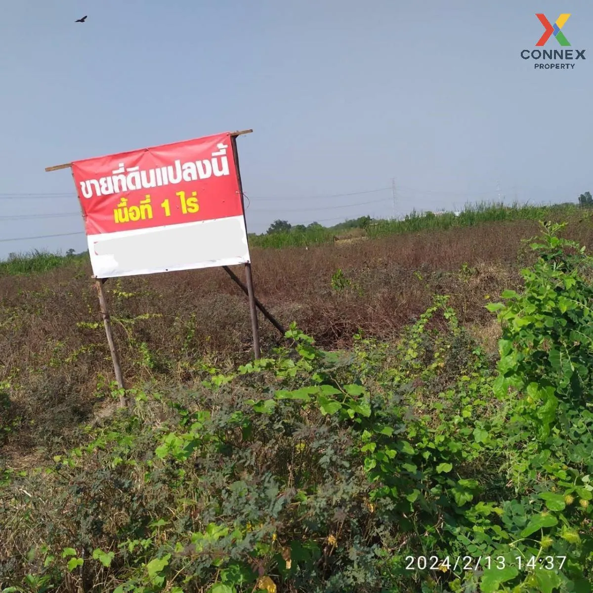 For Sale Vacant land 1 rai, Lat Lum Kaeo , Na Mai , Lat Lum Kaeo  2