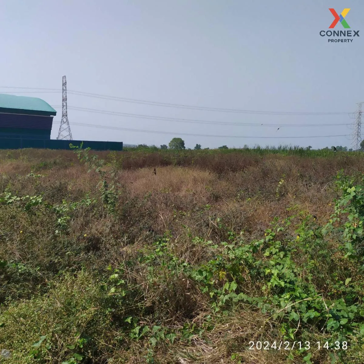 For Sale Vacant land 1 rai, Lat Lum Kaeo , Na Mai , Lat Lum Kaeo  3