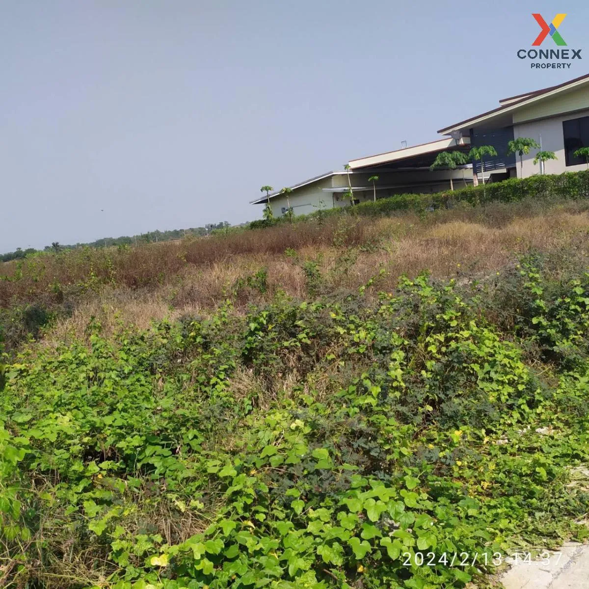 For Sale Vacant land 1 rai, Lat Lum Kaeo , Na Mai , Lat Lum Kaeo  4