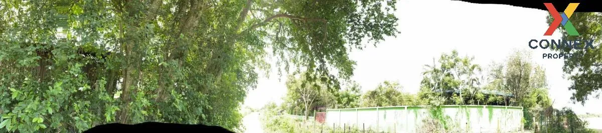 For Sale land 4 rai, Kamphaeng Saen , Thung Bua , Kamphaeng Saen 