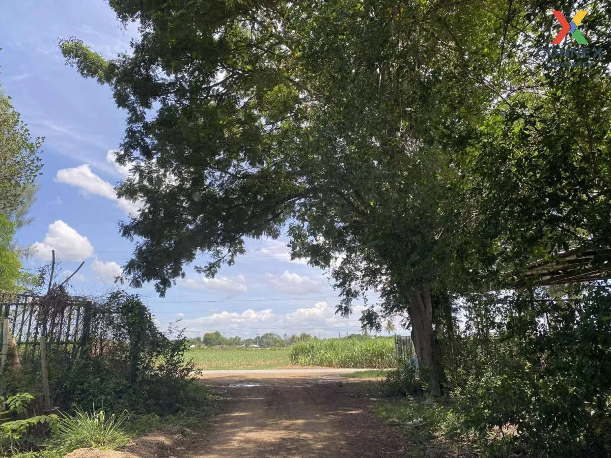 For Sale land 4 rai, Kamphaeng Saen , Thung Bua , Kamphaeng Saen  1