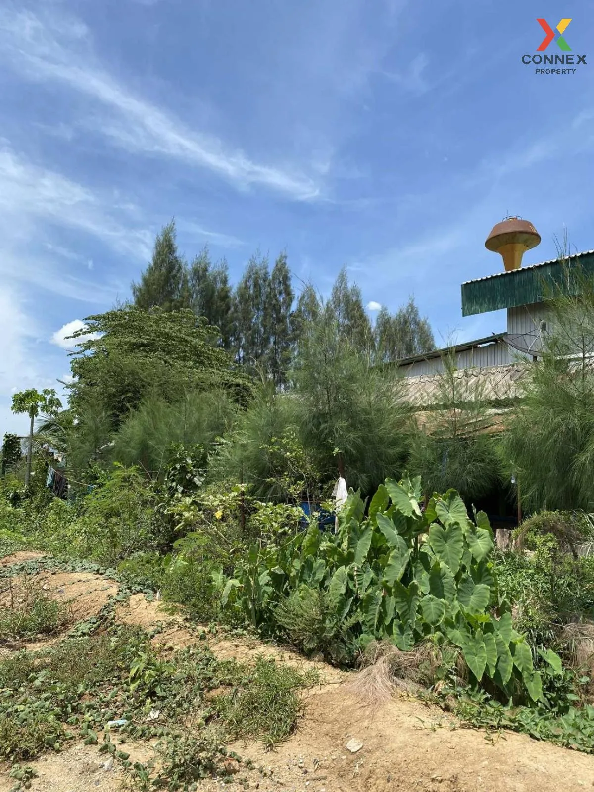 For Sale land 4 rai, Kamphaeng Saen , Thung Bua , Kamphaeng Saen  3