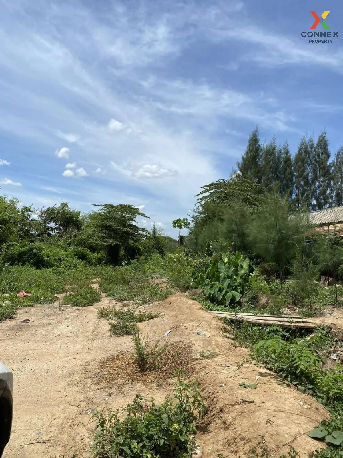 For Sale land 4 rai, Kamphaeng Saen , Thung Bua , Kamphaeng Saen  4