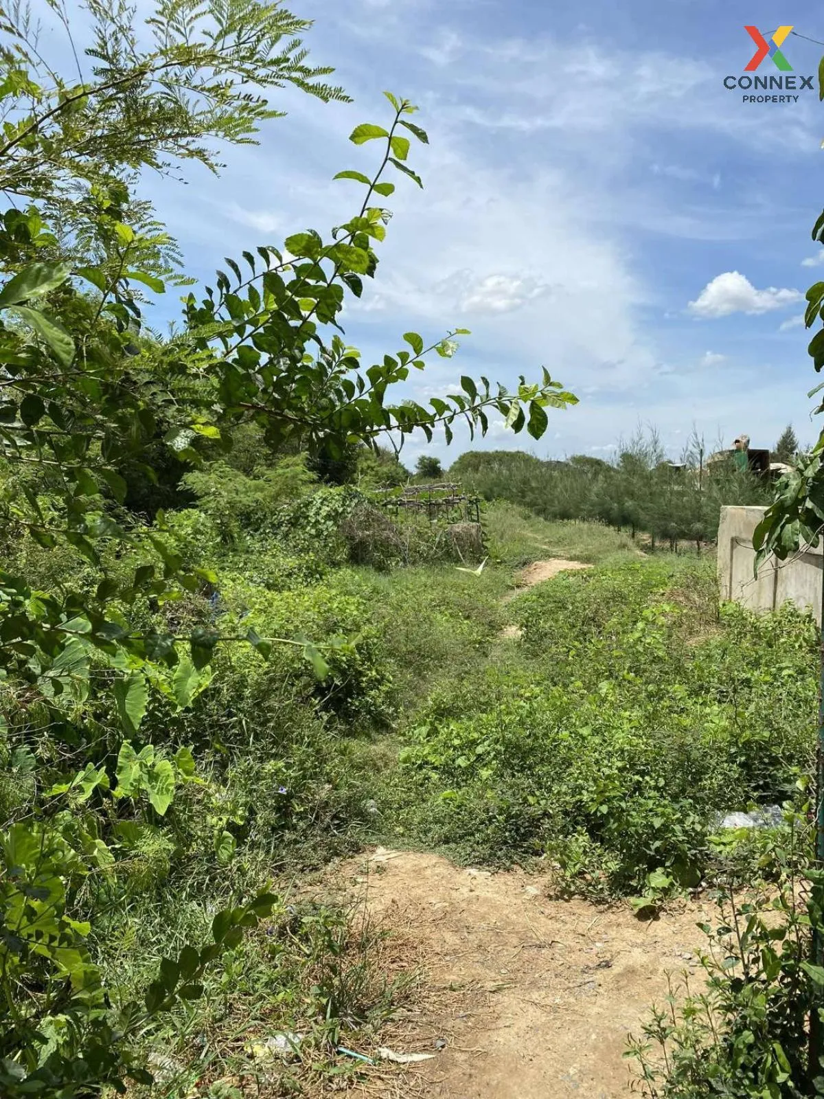 For Sale land 4 rai, Kamphaeng Saen , Thung Bua , Kamphaeng Saen 