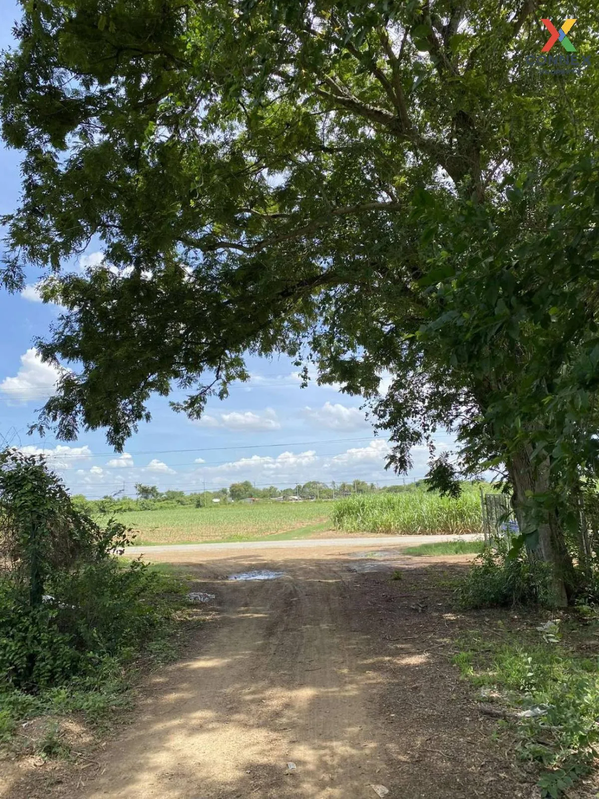 For Sale land 4 rai, Kamphaeng Saen , Thung Bua , Kamphaeng Saen 