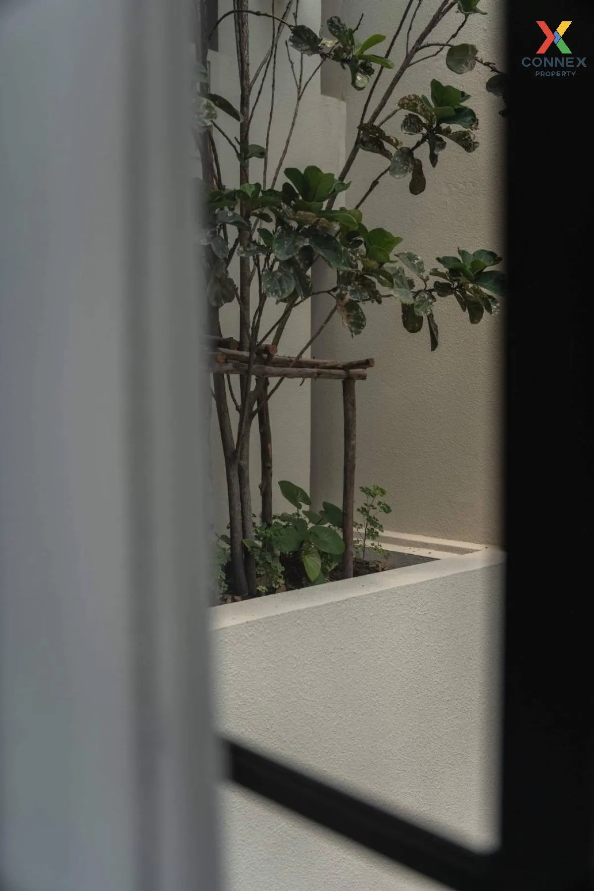 ขายคอนโด เดอะ รีเซิร์ฟ สุขุมวิท 61แขวงคลองเตยเหนือ เขต วัฒนา CX-1