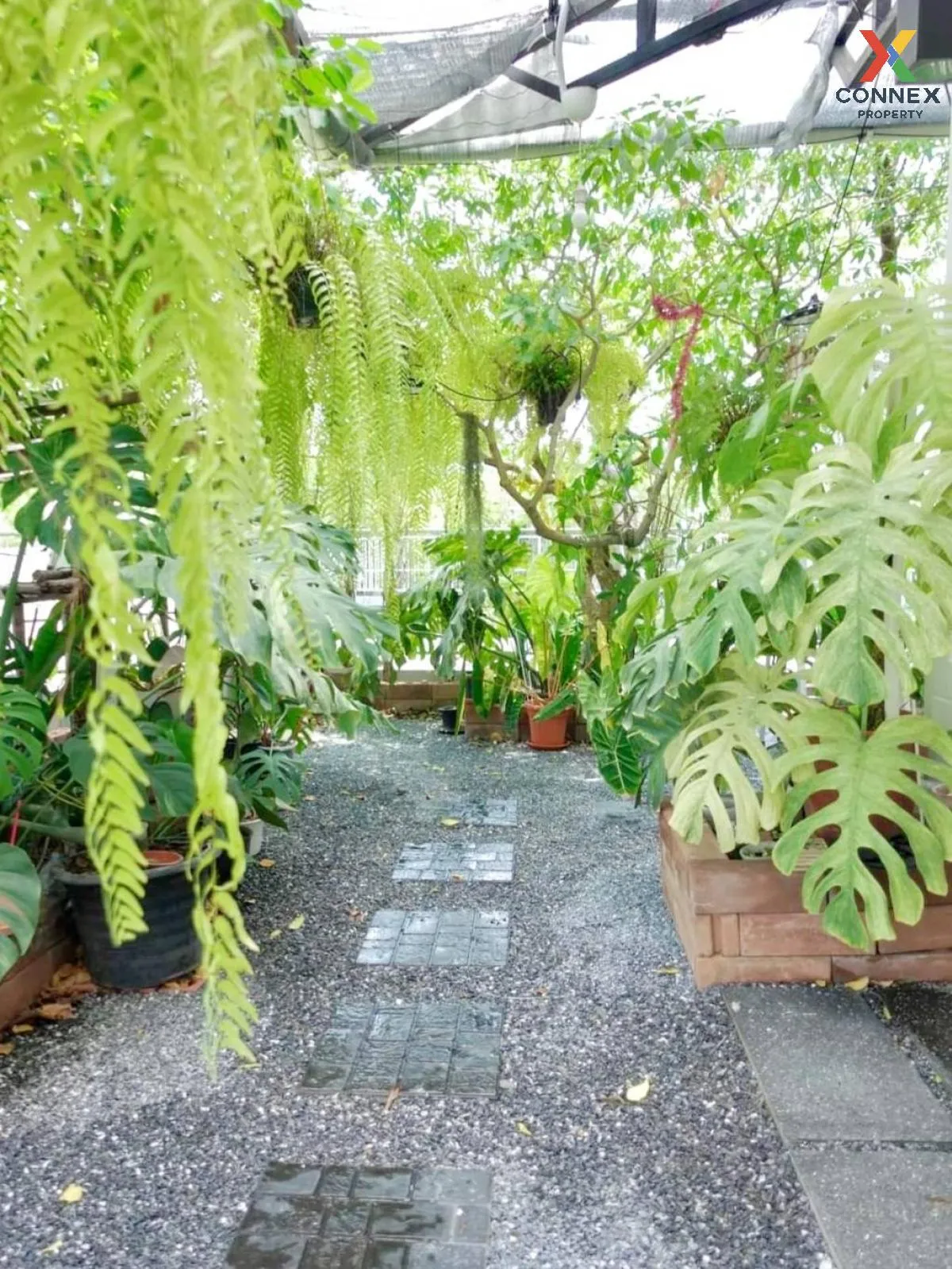 ขายบ้าน  อัญญ่า ราชพฤกษ์-นครอินทร์ บางเลน บางใหญ่ นนทบุรี CX-1021 2