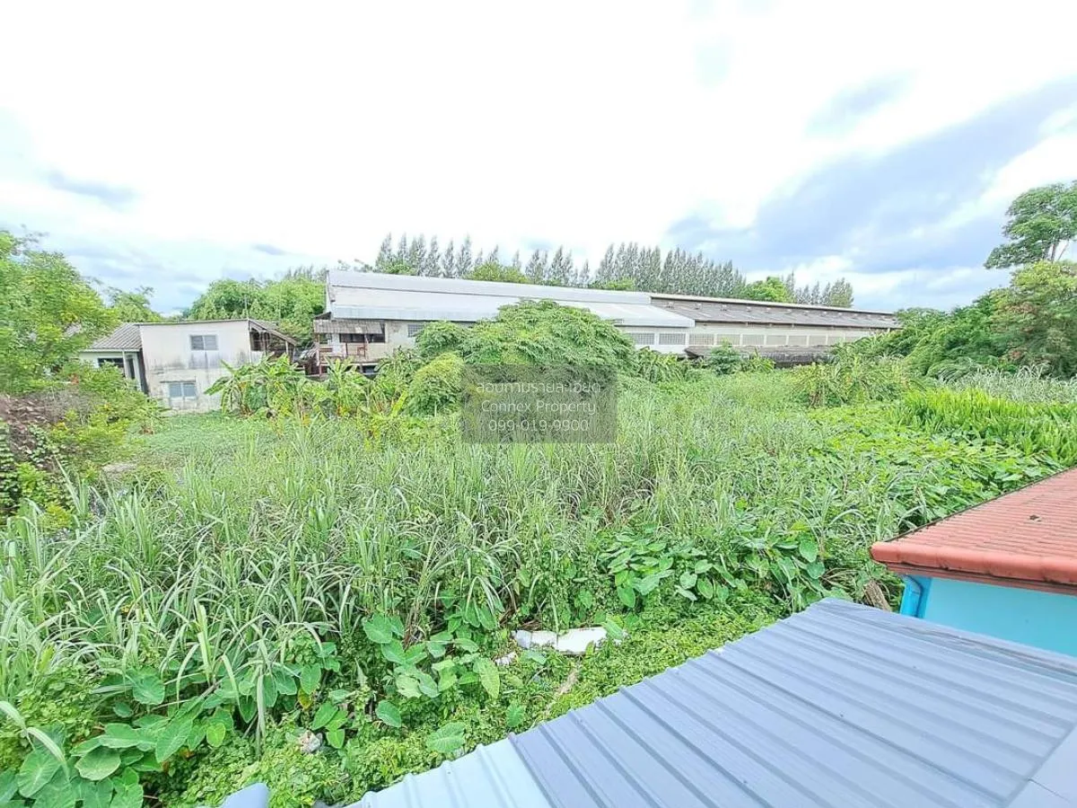 For Sale Townhouse/Townhome  , Baan Tawanthong , Nong Khaem , Non