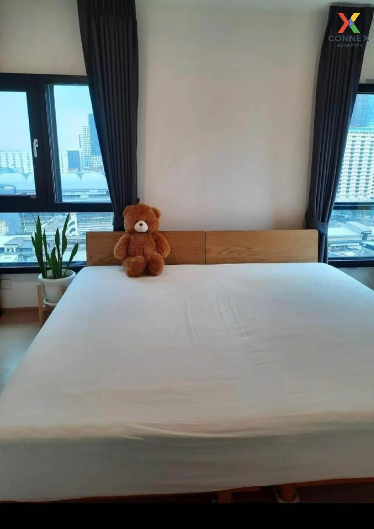 For Rent Condo , The Tree Sukhumvit 71 , ARL-Ramkhamhaeng , Suan 