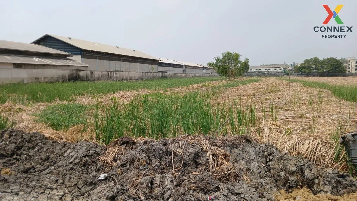 For Sale land, Bang Pa-in, Ayutthaya , Khlong Chik , Bang Pa-in , 1