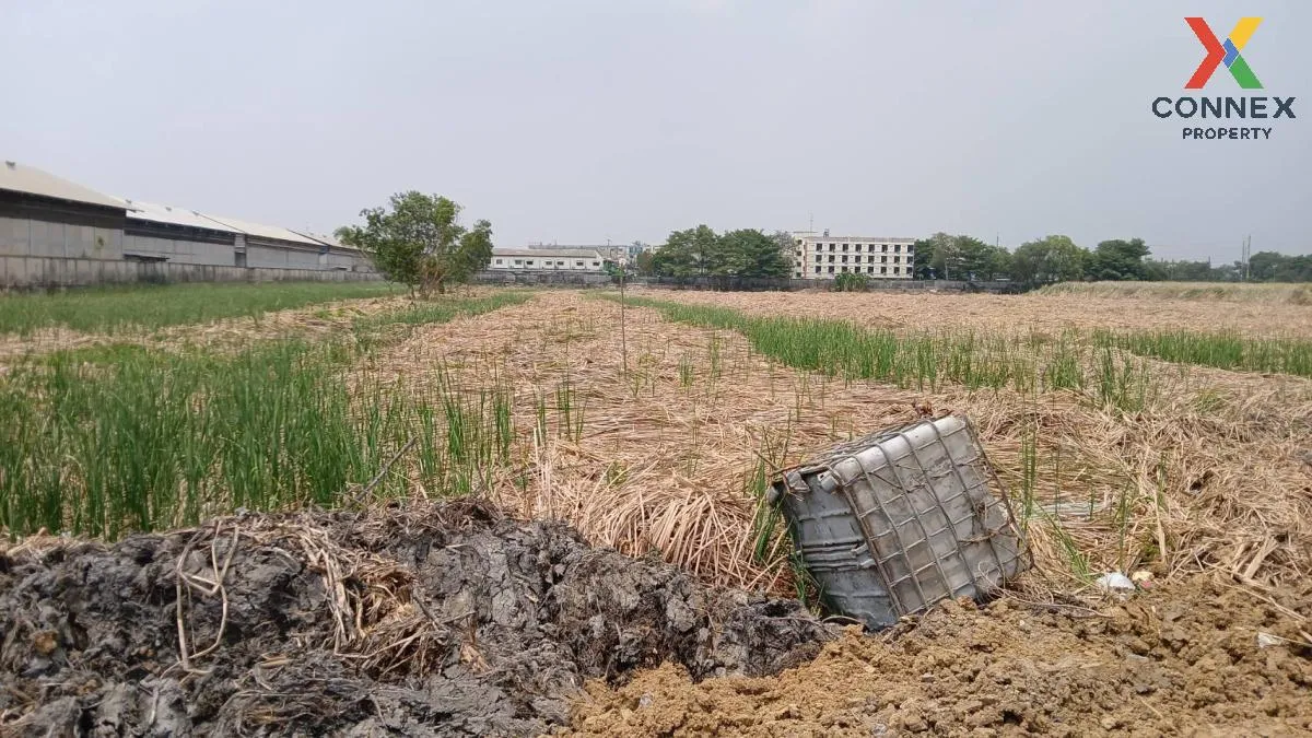 For Sale land, Bang Pa-in, Ayutthaya , Khlong Chik , Bang Pa-in , 2