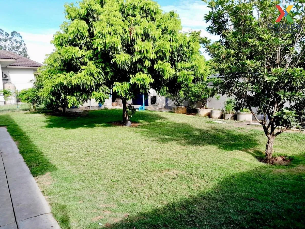 ขายบ้าน 2 หลังบนที่ดิน 1 ไร่ ต.สระกระเทียม จ.นครปฐม สระกระเทียม เ