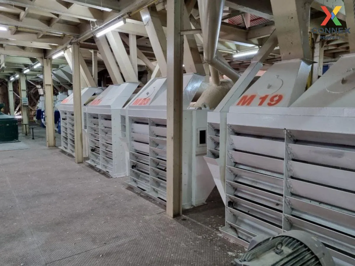 ขายโรงสีข้าว ขนาด 90 ไร่ หนองกระเจา ชุมแสง นครสวรรค์ CX-103558 ขายโรงสีข้าว ขนาด 90 ไร่ หนองกระเจา ชุมแสง นครสวรรค์ CX-103558